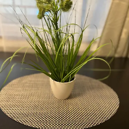 Appartement M&bluxux