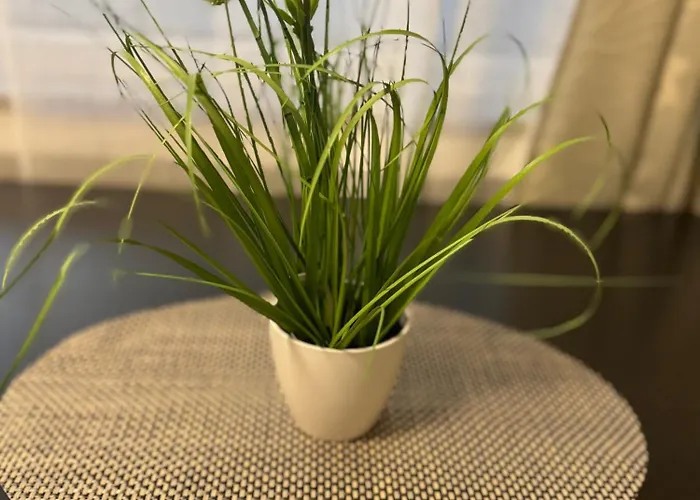 Apartamento M&bluxux